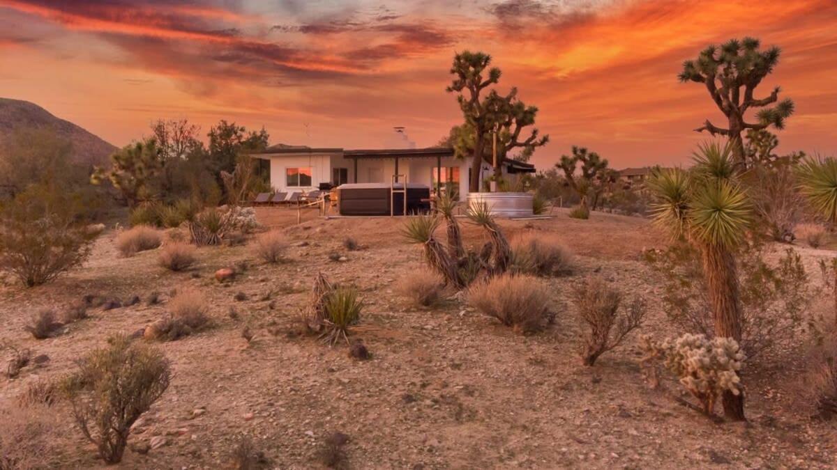 Kinetic House-Joshua Trees Sculptures Cowboy Pool Villa Yucca Valley Exterior photo